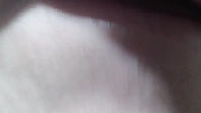 selenax2023 online show from October 9, 2025, 1:47 am