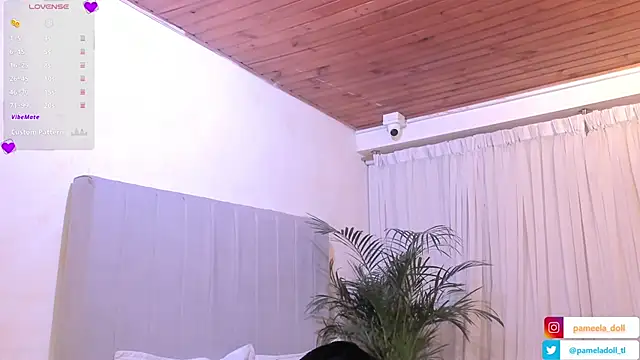 pamela doll3 online show from February 9, 2025, 6:01 am