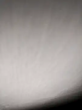 Annerae online show from April 9, 2026, 3:50 pm