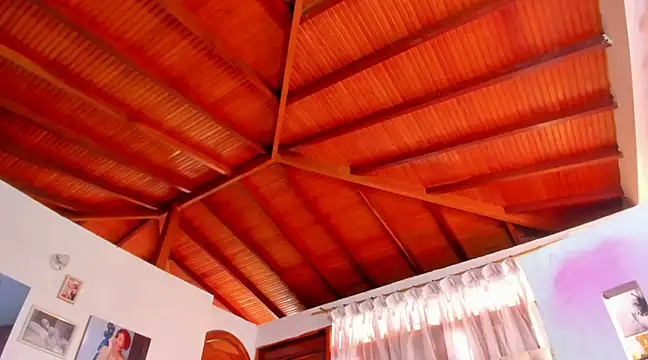 jeyvela online show from February 24, 2025, 5:20 pm