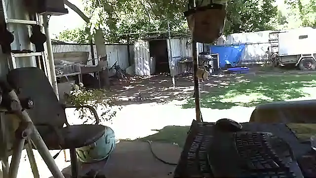 herbie010666 online show from January 17, 2025, 5:11 am