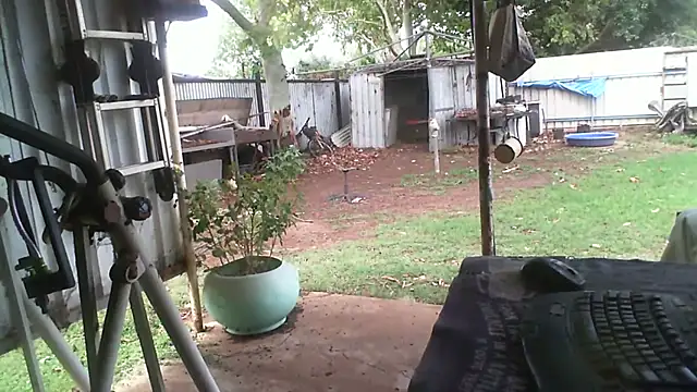 herbie010666 online show from November 27, 2025, 4:25 am