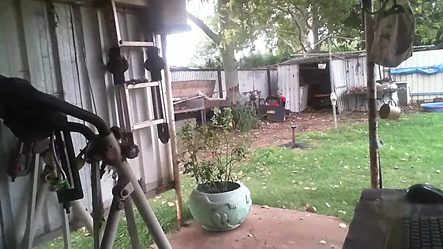 herbie010666 online show from February 3, 2026, 6:40 am