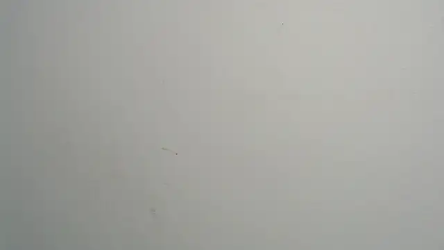 amy le01 online show from February 28, 2025, 4:20 pm