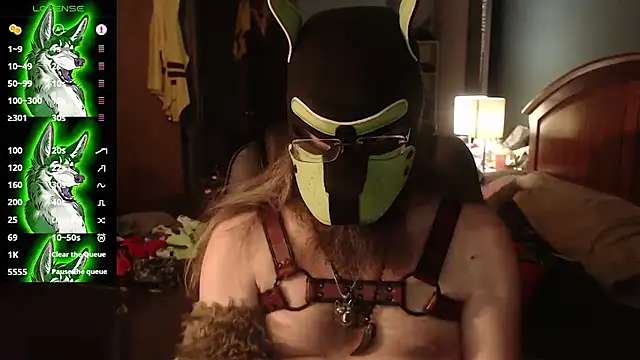 kinkywolf429 online show from July 18, 2026, 3:00 am