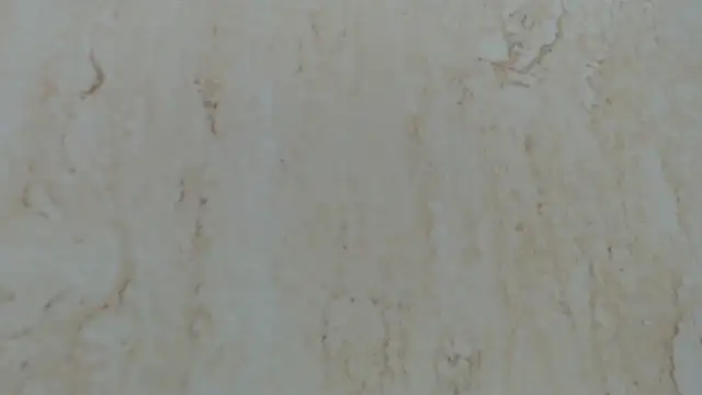 Crazy team  online show from December 31, 2024, 5:11 am