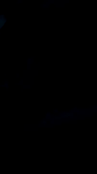 DauergeilMD online show from January 25, 2025, 1:43 am