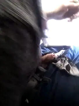 Wero4200 online show from February 4, 2026, 10:36 pm