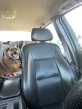 steph19x5 online show from April 20, 2026, 5:16 pm