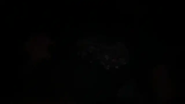 waveonce- online show from December 14, 2025, 7:36 am