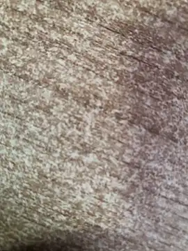 Snapshot of gokhanbey34 chatting on October 8, 2025, 2:36 pm gokhanbey34 online show from October 8, 2025, 2:36 pm