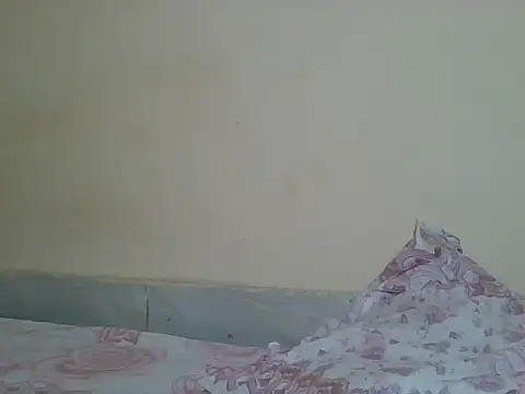 sexyjanett online show from April 21, 2026, 5:50 pm