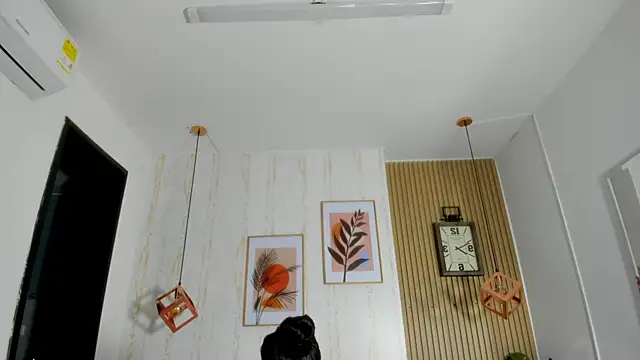 CameronCollins  online show from February 22, 2025, 7:36 pm