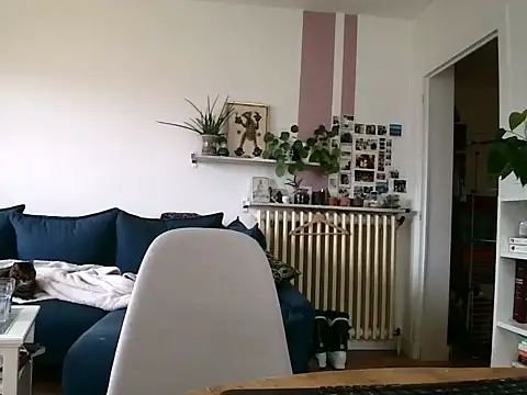 Simon-tem online show from February 5, 2026, 1:38 pm