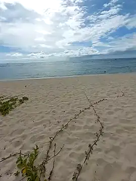 LightedWoman online show from January 2, 2025, 11:52 am