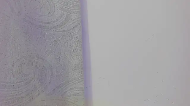 KendalStallyon online show from November 26, 2025, 8:54 pm