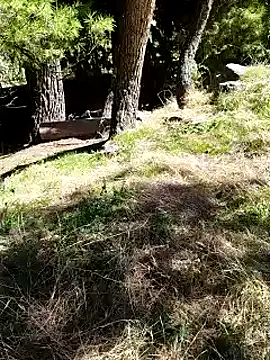 K-27 online show from October 4, 2025, 10:24 am