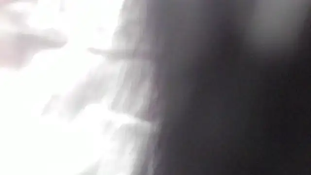 Emma Torres   online show from February 23, 2025, 3:08 pm