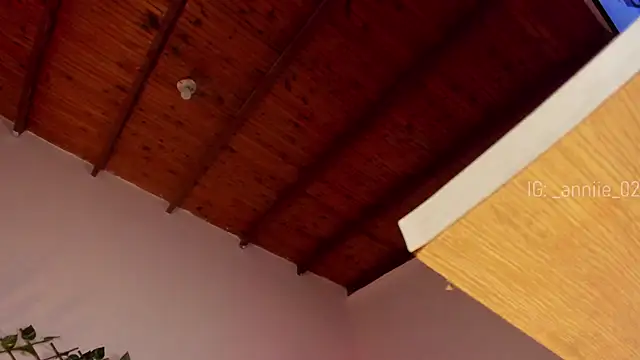 annie barozzi online show from January 16, 2025, 4:39 pm