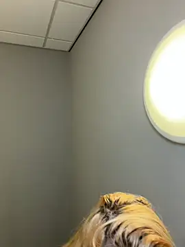 Strongqueen online show from February 13, 2026, 6:15 pm