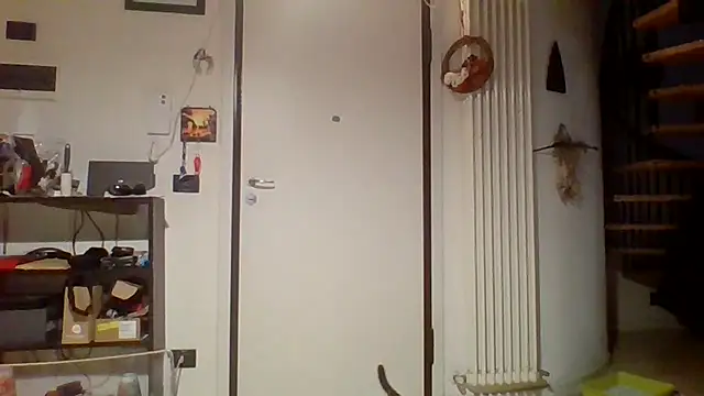 woww791 online show from March 25, 2026, 9:54 pm