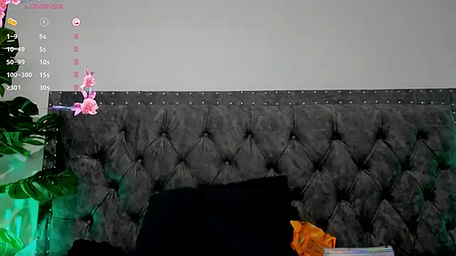 Dounia nagi online show from January 25, 2025, 12:26 pm