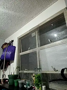 francesca baker1007 online show from March 18, 2025, 12:05 am