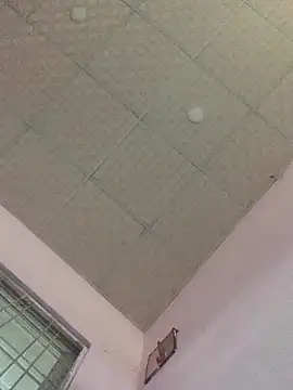 Hullax online show from November 1, 2025, 1:07 am