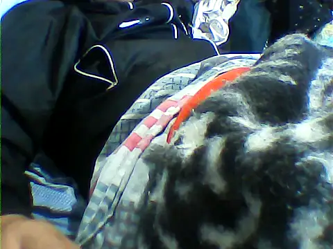 messi syssy online show from September 25, 2025, 8:34 pm