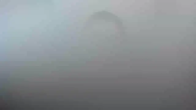 smile sweetpao online show from February 23, 2025, 10:31 pm