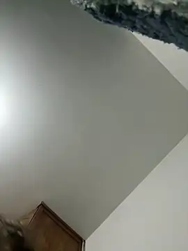 gabiTetas online show from September 11, 2025, 8:31 pm