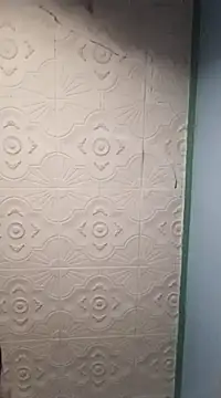 HAIRY PUSSY BIG online show from January 1, 2025, 1:05 pm