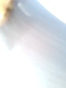 mustican422 online show from February 25, 2025, 10:04 am