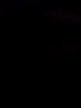 mustican422 online show from February 17, 2026, 10:49 pm