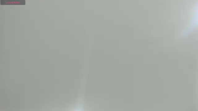 natasha logan  online show from February 21, 2025, 4:07 am