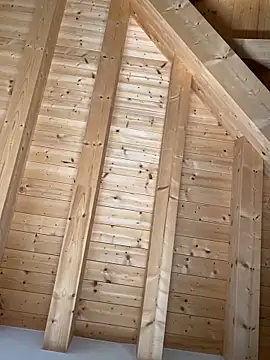 Fellix online show from October 27, 2025, 11:47 am