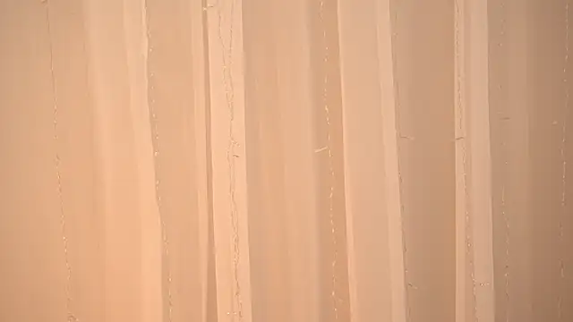 Poni DII online show from January 14, 2026, 10:10 am