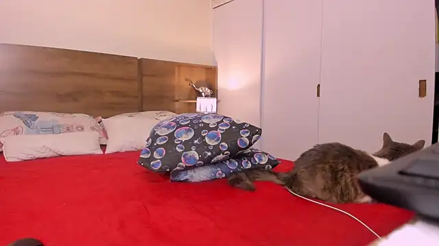 emily adams01 online show from February 27, 2025, 12:43 am