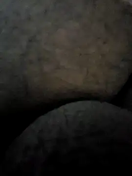 Mallupaiyanaachu online show from February 3, 2025, 4:31 pm