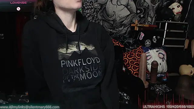 Silentmary online show from February 12, 2025, 11:51 pm