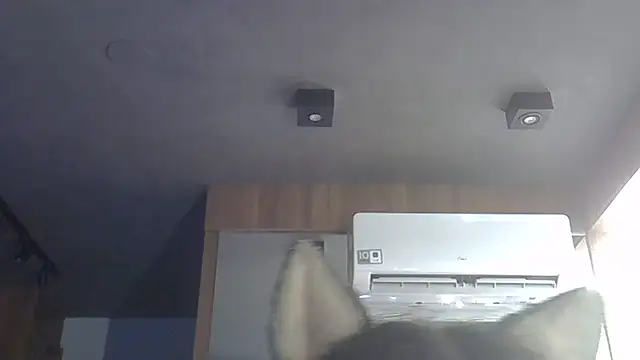 Skinny-Kitten online show from December 16, 2025, 5:18 pm