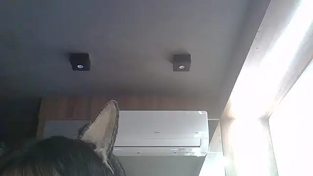 Skinny-Kitten online show from February 17, 2026, 1:40 pm