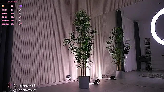 Abbela White online show from January 23, 2025, 6:39 am