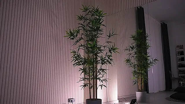 Abbela White online show from January 23, 2025, 9:39 am