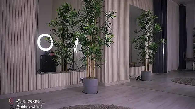 Abbela White online show from February 16, 2025, 10:21 am