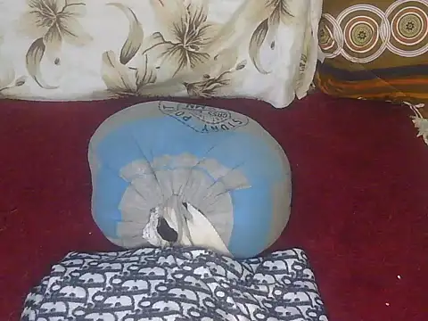 Pretty hazel online show from April 28, 2026, 1:27 pm