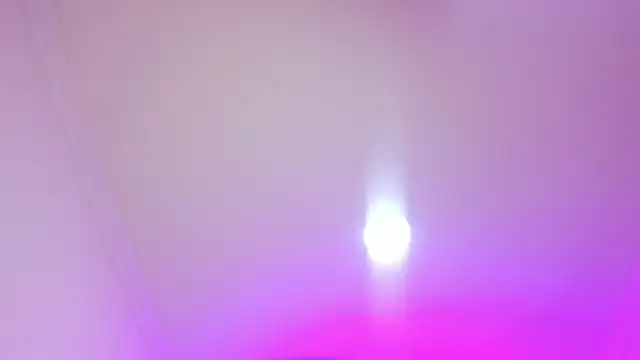 nalalye cruzz  online show from April 5, 2026, 3:04 am