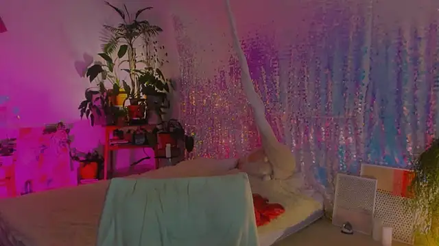 poli   online show from December 17, 2024, 12:56 am