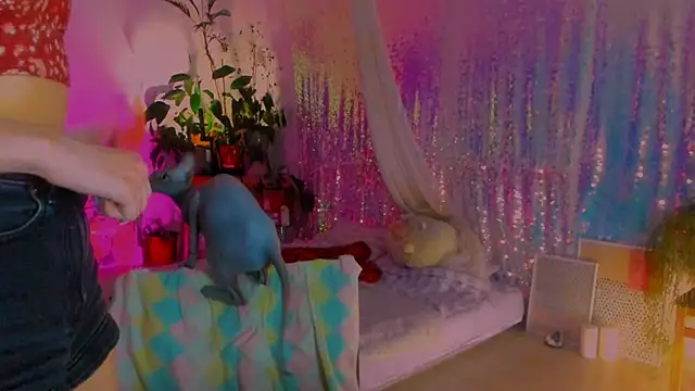 poli   online show from February 6, 2025, 2:58 pm