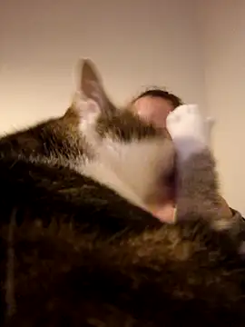 Wisie Cutie online show from February 19, 2025, 11:04 pm